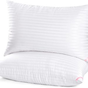 Bed Pillows for Sleeping 2 Pack Queen Size，Pillows for Side and Back Sleepers,Super Soft Down Alternative Microfiber Filled Pillows,20 x 30 Inches